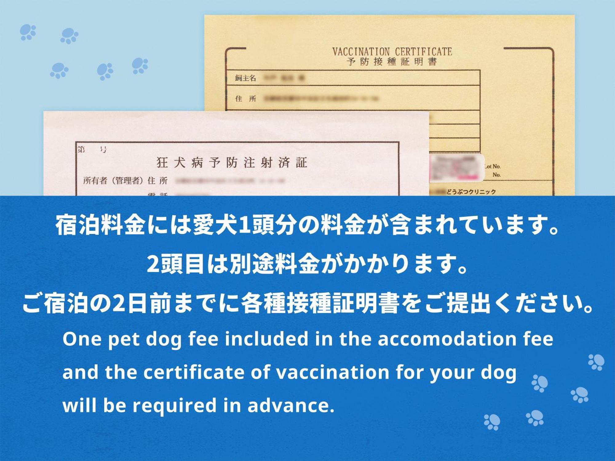 Hotel Anddoggy Kyoto Nijo חדר תמונה