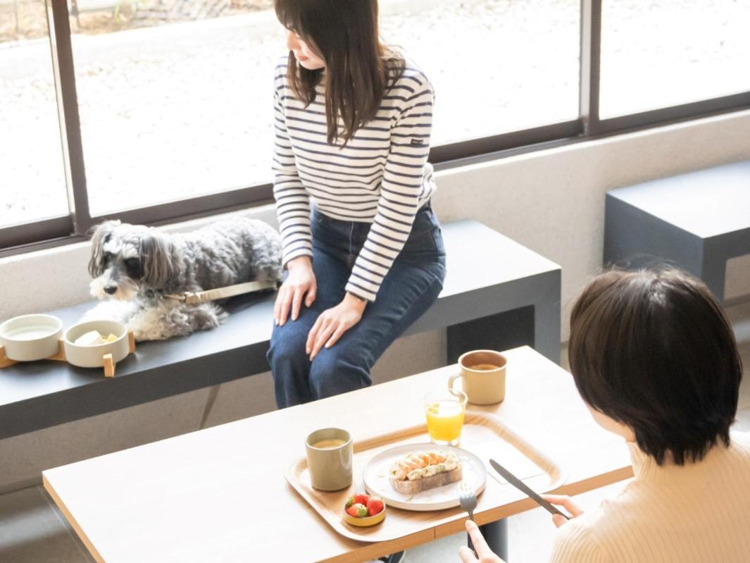 Hotel Anddoggy Kyoto Nijo מראה חיצוני תמונה