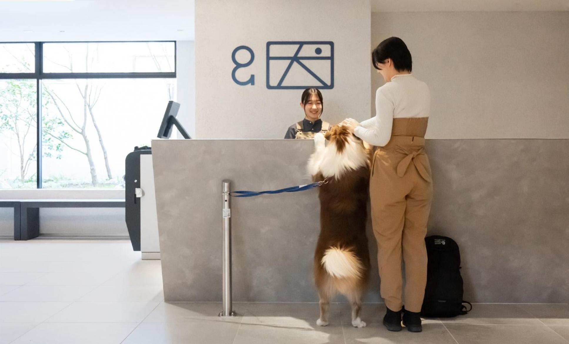 Hotel Anddoggy Kyoto Nijo מראה חיצוני תמונה