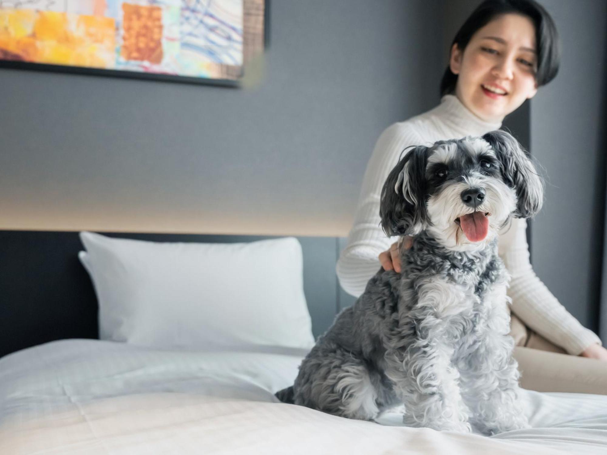 Hotel Anddoggy Kyoto Nijo מראה חיצוני תמונה
