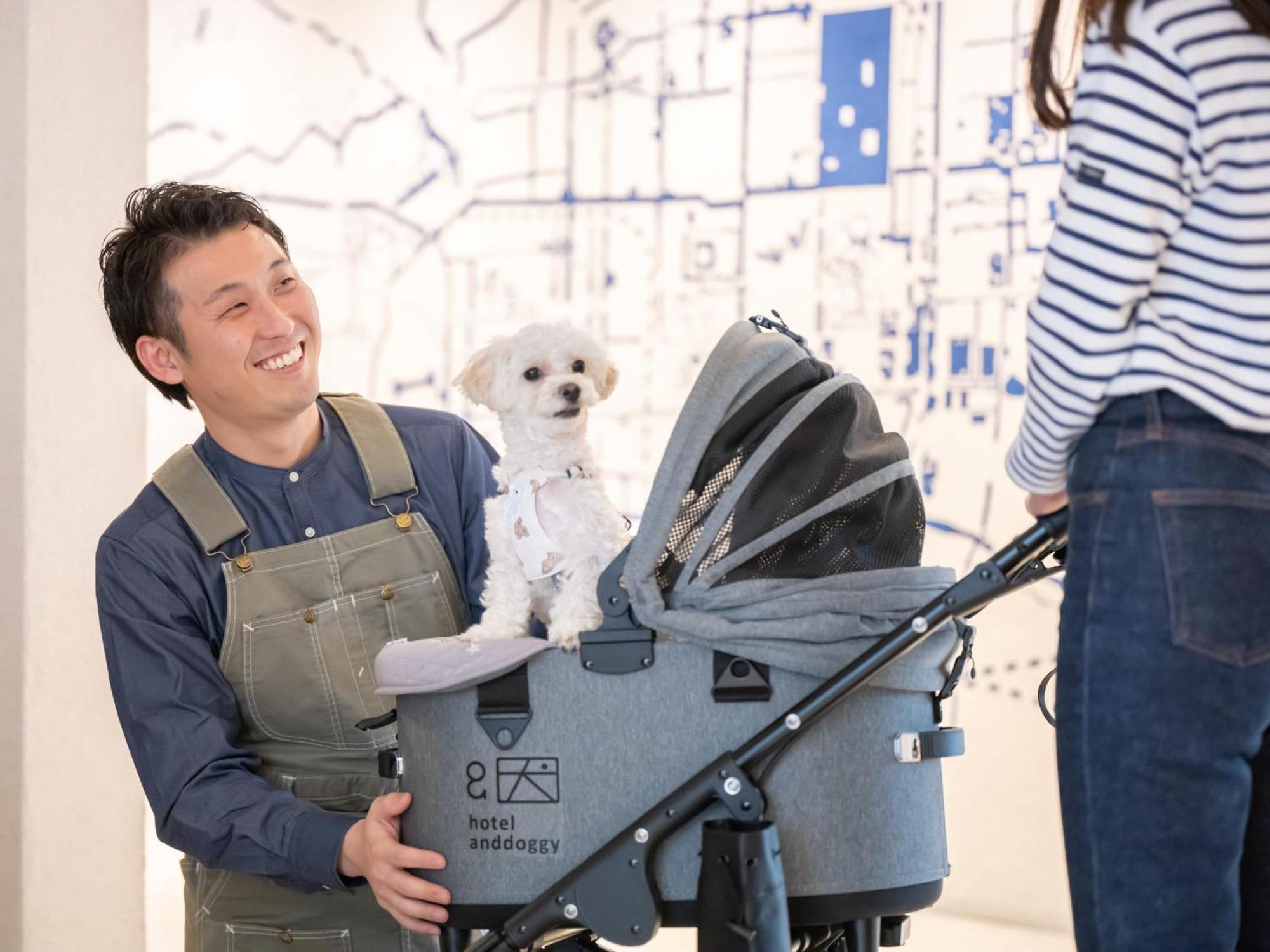 Hotel Anddoggy Kyoto Nijo מראה חיצוני תמונה