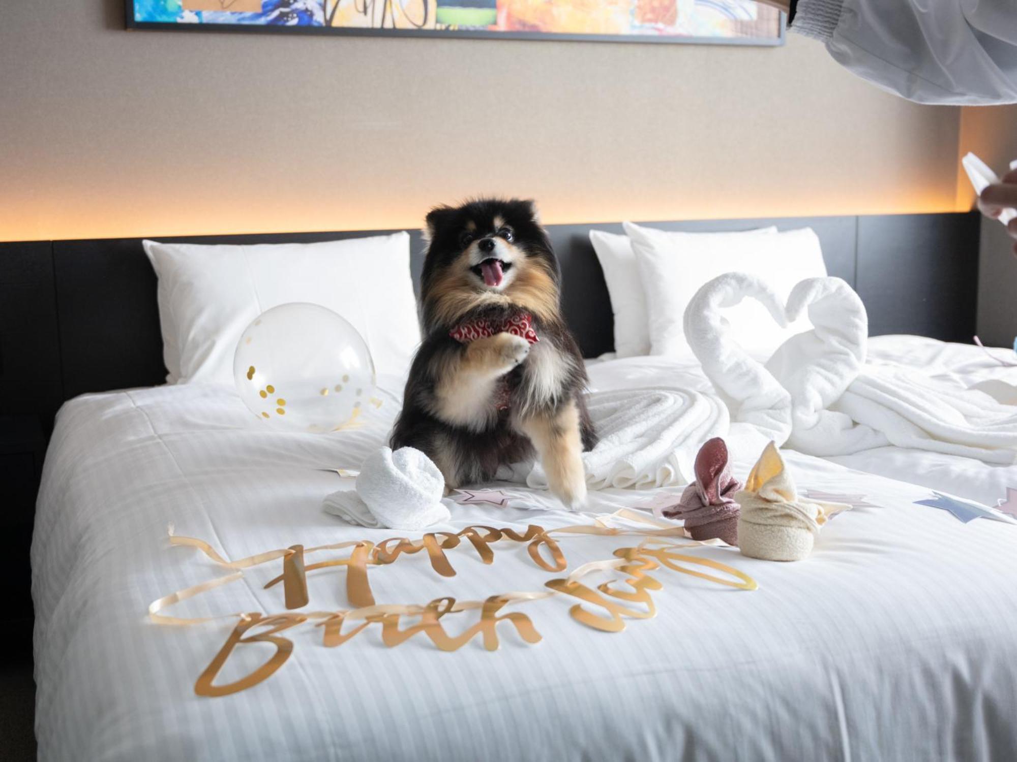 Hotel Anddoggy Kyoto Nijo מראה חיצוני תמונה