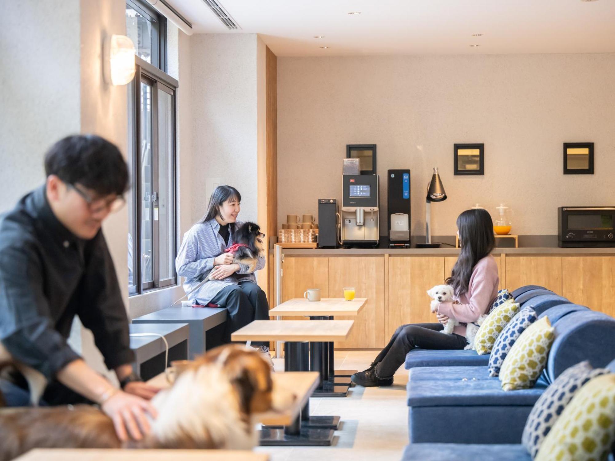 Hotel Anddoggy Kyoto Nijo מראה חיצוני תמונה